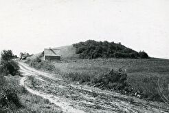 Žardės piliakalnis (1960)