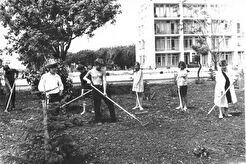 Санаторий "Маяк". Подготовка почвы под высадку цветов (1970)
