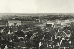 Панорама с башни Домского собора (1865)