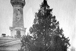 Новогодняя ёлка на центральной площади (1960)