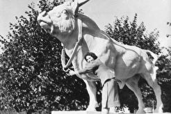 Бык у павильона Мясная промышленность (1950)