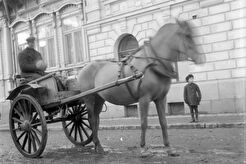 Mies, hevonen ja rattaat kadulla (1900)