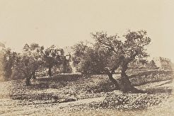Львиные врата שער האריות (1855)