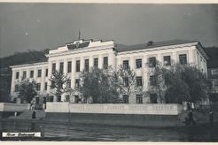 Дом Советов (1960)