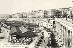 Le Boulevard de la Republique et l'Escalier de la Pecherie (1905)