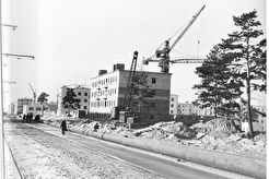 ул. Терешковой (1960)