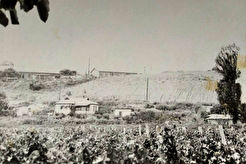 Гора Фирейная (1960)