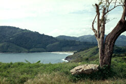 Nai Harn Beach (1976)
