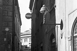 Jalovcová ulice (1960)