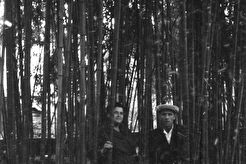 В зарослях бамбука (1960)
