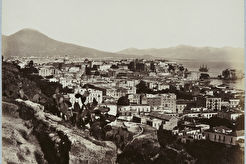 Aspetto generale (1865)