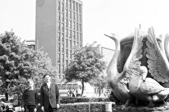 Kultūros rūmai (1961)