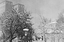 Кукольный театр (1960)