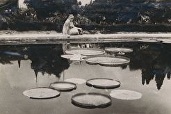 Сухумский ботсад (1960)