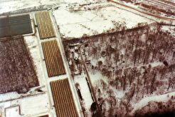 Вид с Останкинской телебашни на теплицы и насаждения Мосзеленхоза (1990)