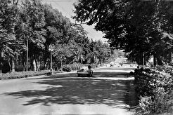 Перспектива Братской улицы (1960)