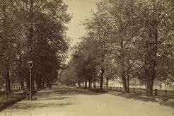Волгский бульвар (1880)