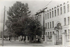Педагогический институт (1960)