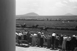 На Пятигорском ипподроме (1960)