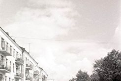 У губернаторского сада (1960)