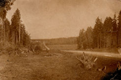 Дорога на Морозовку от Ленинградского шоссе (1934)