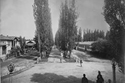 Тополевая аллея и дачи (1880)