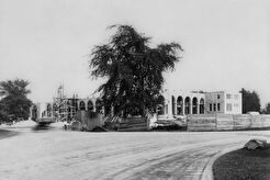 Belle Isle Casino under construction (1900)