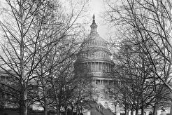 The Capitol at Washington (1902)