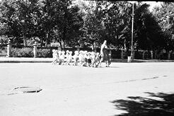 Улица Куйбышева напротив Парка культуры и отдыха имени Горького (1960)