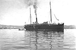 Неизвестный пароход в бухте Золотой Рог (1904)