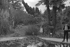Водоём (1960)