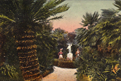 Bašta poma na Lukrumu (1910)