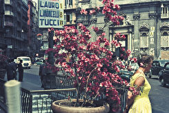 Naples, piazza Trieste e Trento (1956)