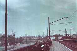 Тонди. (1960)