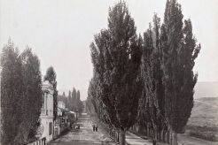 Аллея тополей от въезда (1882)