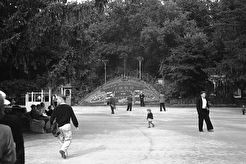 Цветочный календарь (1960)
